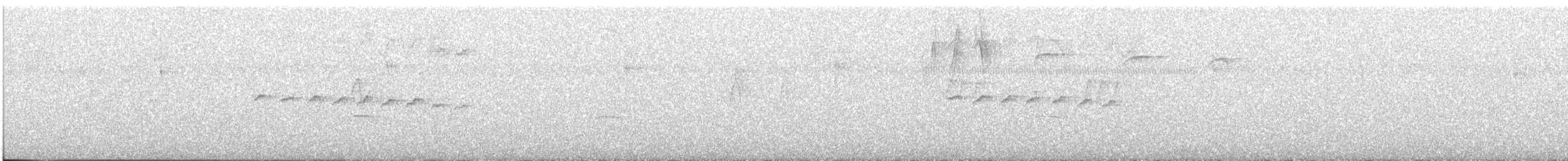 Gobemoucheron tropical - ML646265422