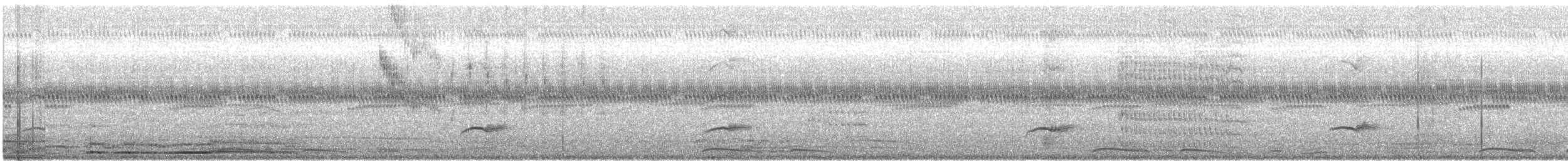 sommerpiranga - ML646266101