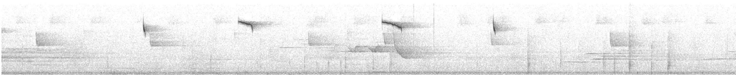 Американская гренадерка - ML646266464