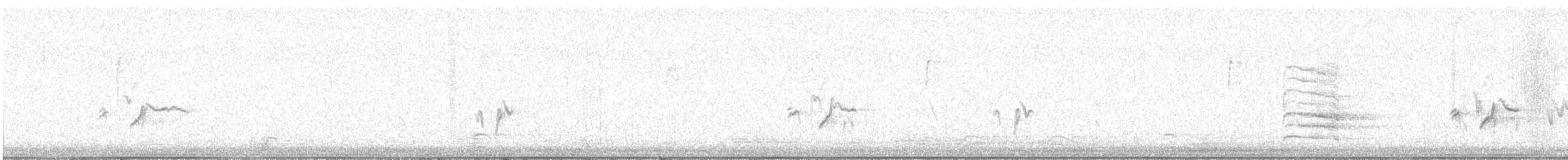 Щур - ML646266560