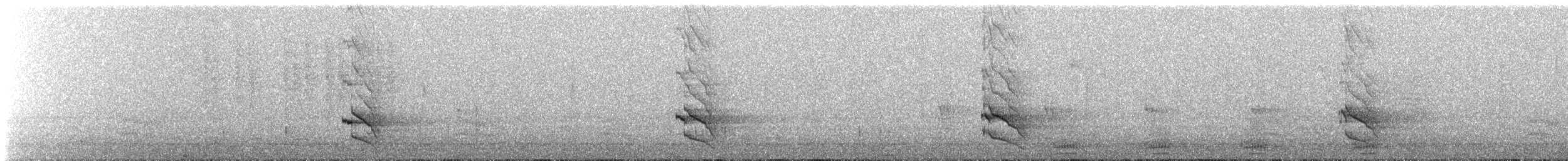 Шилоклювый дятел - ML646267092