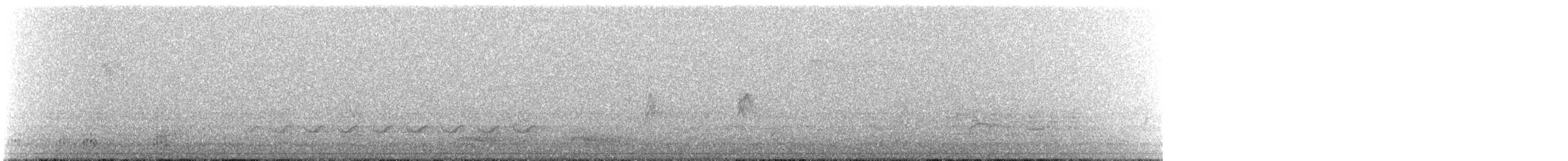 White-breasted Nuthatch - ML646267112