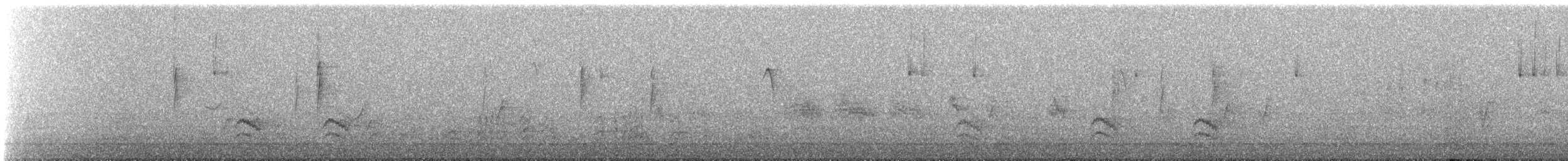 White-breasted Nuthatch - ML646267113