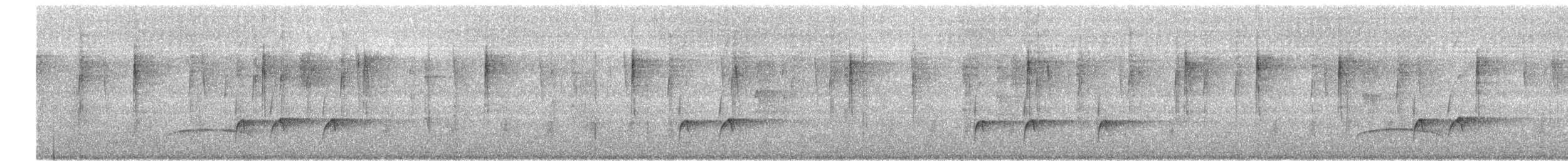 Greater Pewee - ML646267180