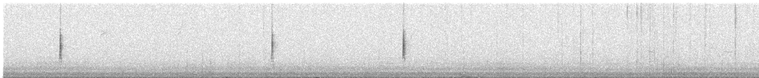 Yellow-rumped Warbler (Myrtle) - ML646267481