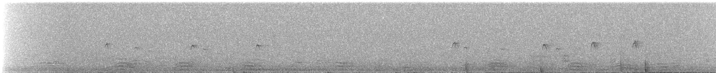 Pygmy Nuthatch - ML646267604