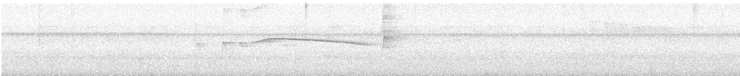 Red-capped Manakin - ML646267655