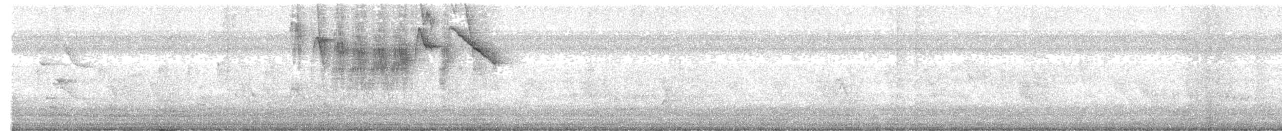 Platanero - ML646268302