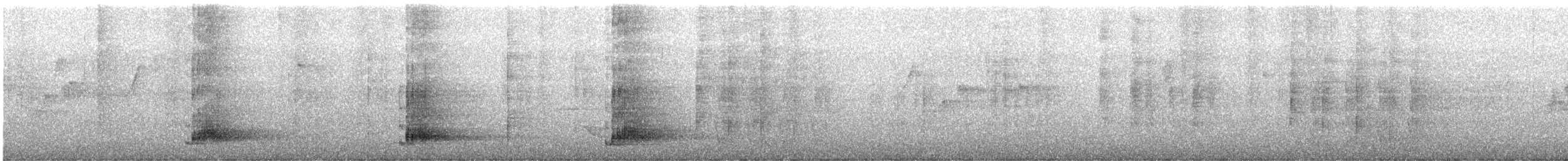 Superb Lyrebird - ML646268359