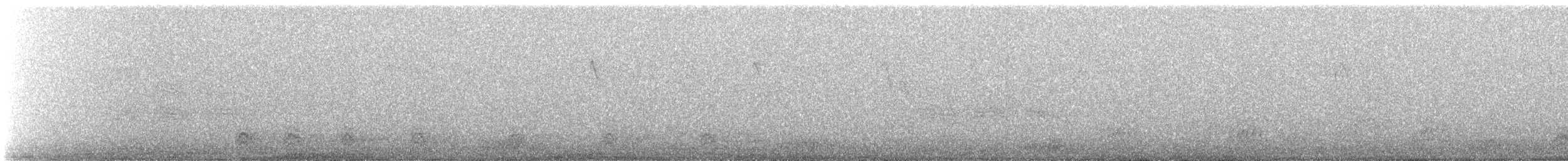 Corneille d'Amérique - ML646268363