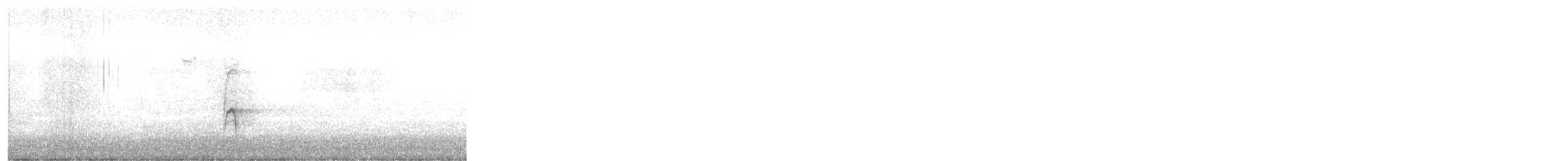 American Robin - ML646268649