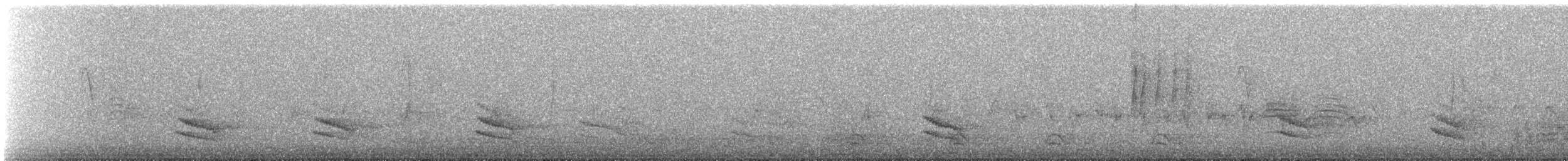 Горобцеподібні sp. - ML646269181