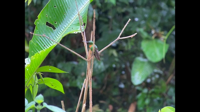 Gould's Jewelfront - ML646270137