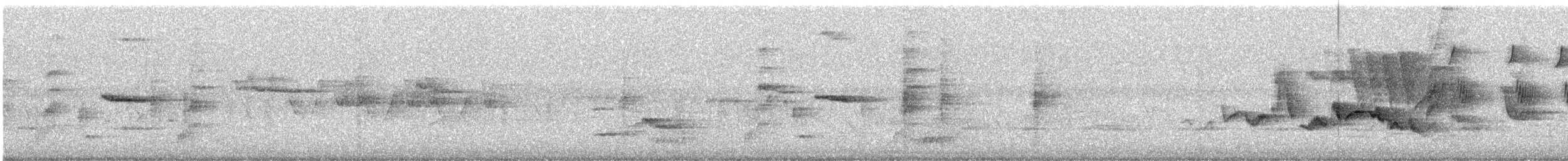 zelenáček švitořivý - ML646270272