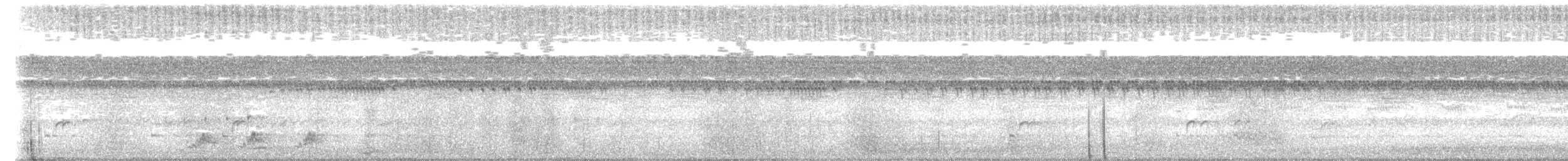 Дрімлюга пуерто-риканський - ML646270582