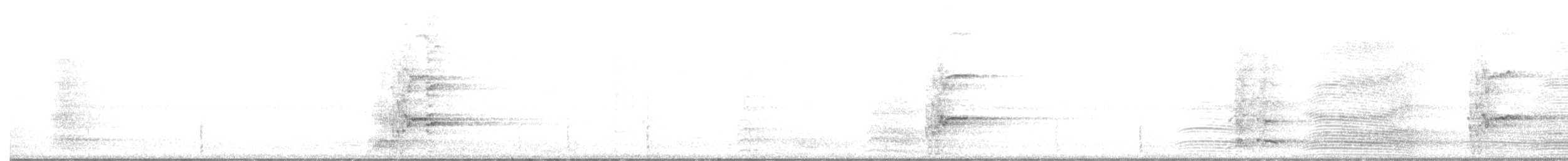 Куравонг сірий - ML646270675