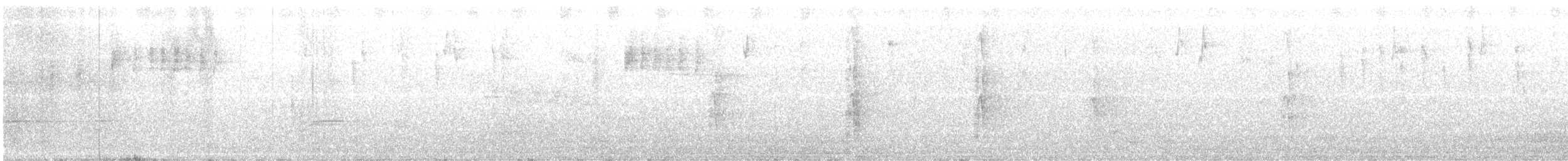 Шиподзьоб смугастоволий - ML646270995