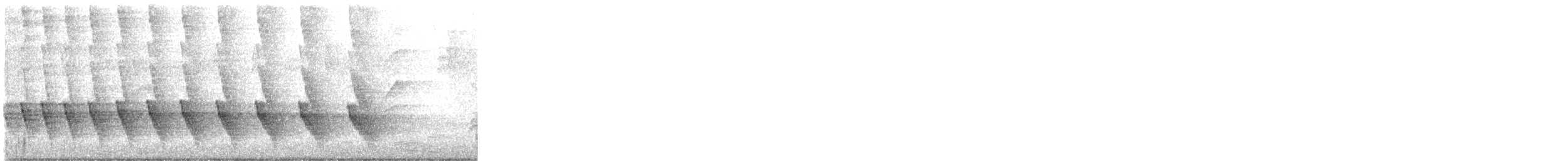 Hormiguero Ventriblanco - ML646271330