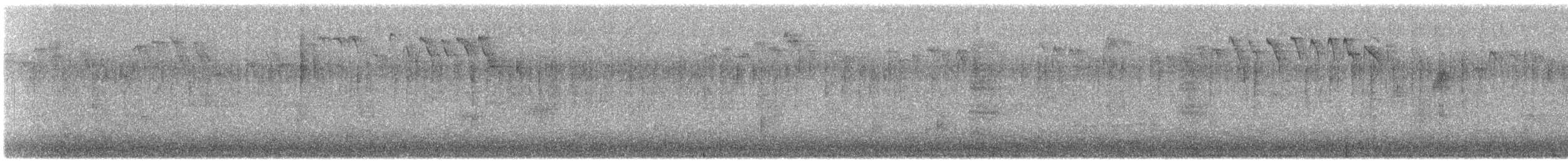 Junco Ojioscuro - ML646271605