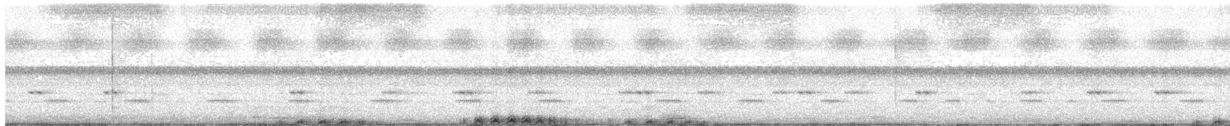 Lechuzón Acollarado Chico - ML646271631