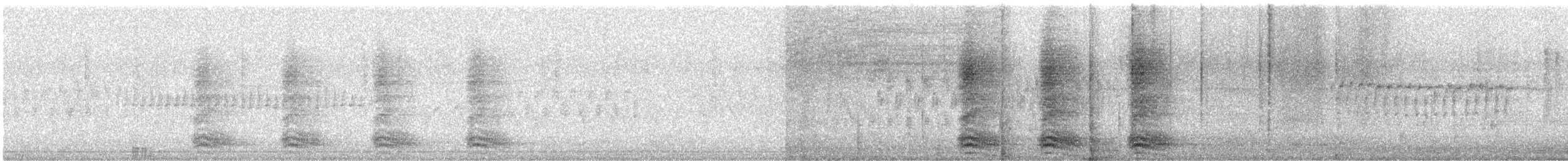 amerikakråke - ML646272108