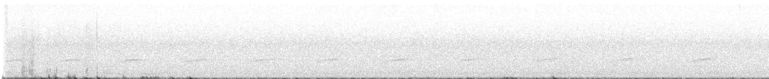 Little Spotted Kiwi - ML646272161