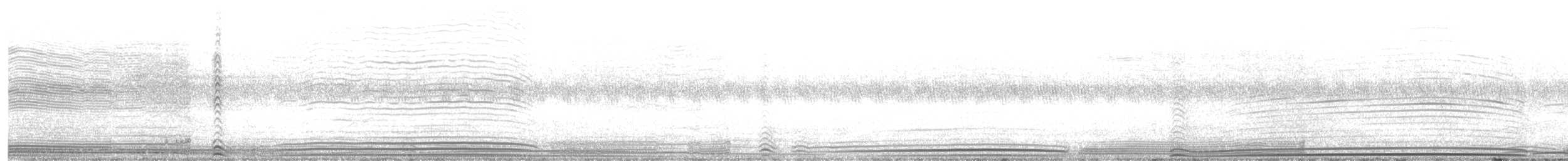 Pardela del Pacífico - ML646272225