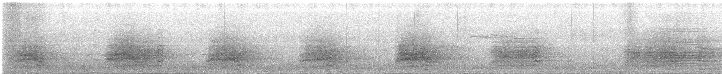 Sulphur-crested Cockatoo - ML646272261