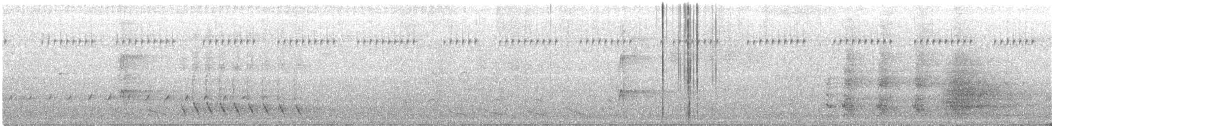 Mielero Carunculado - ML646272562