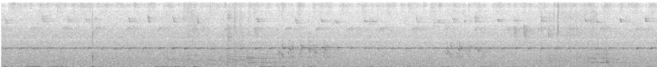 Corretroncos Gorjiblanco - ML646272713