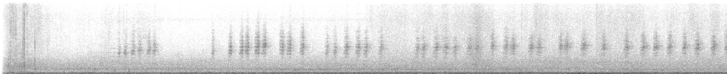 Chochín Criollo Norteño - ML646272772