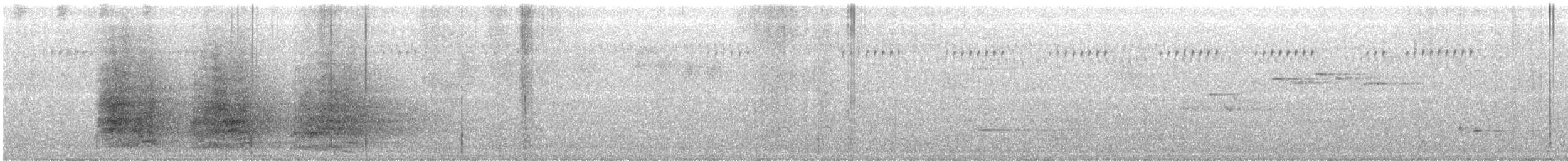 Cacatúa Galerita - ML646272926