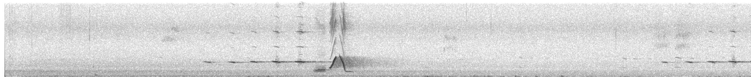 hvittøyleplystrer - ML646273203