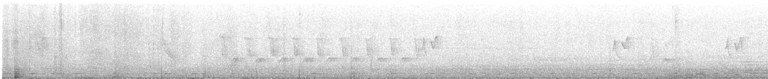 langstjertskredderfugl - ML646273478