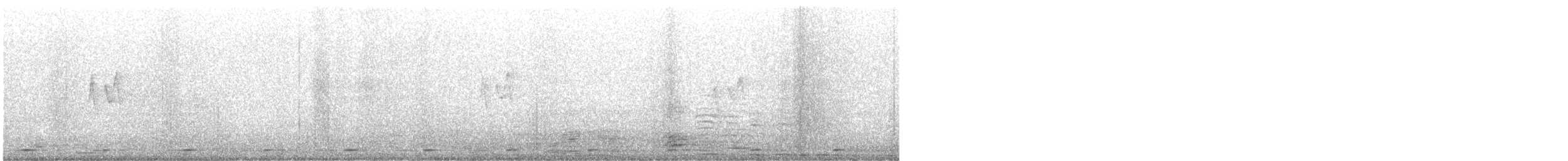 Coppersmith Barbet - ML646273529