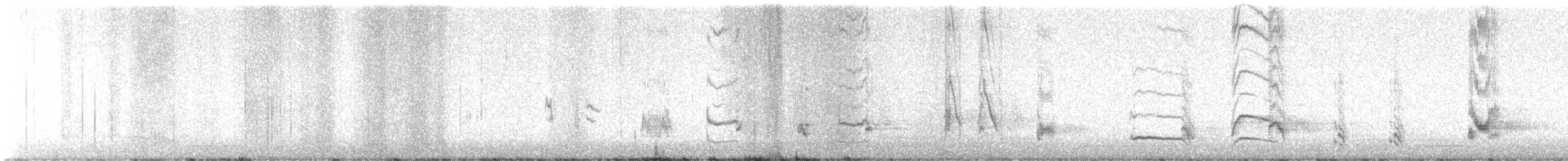 drozdec kalifornský - ML646273880