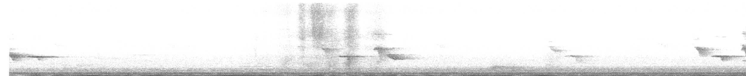 Black Drongo - ML646274253