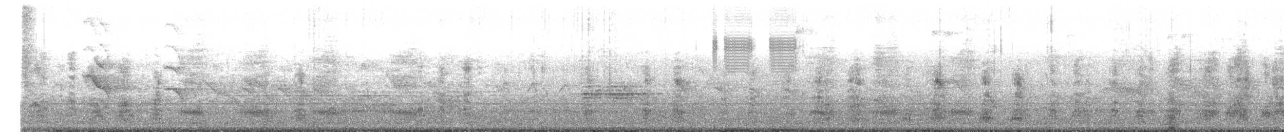 Mallard - ML646274453