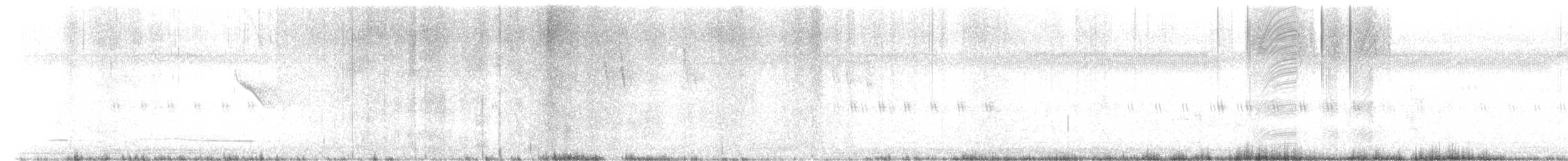 Eastern Spot-billed Duck - ML646274712