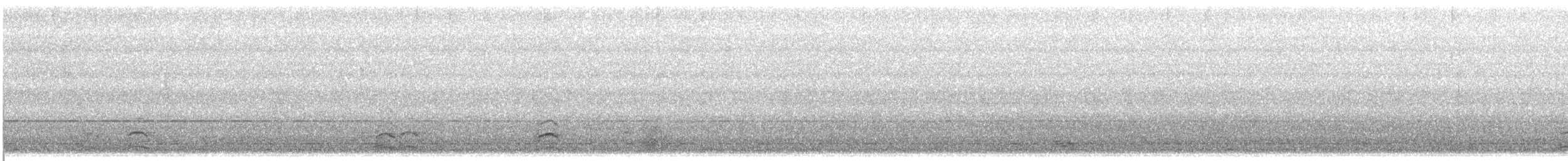 Snow Goose - ML646274823