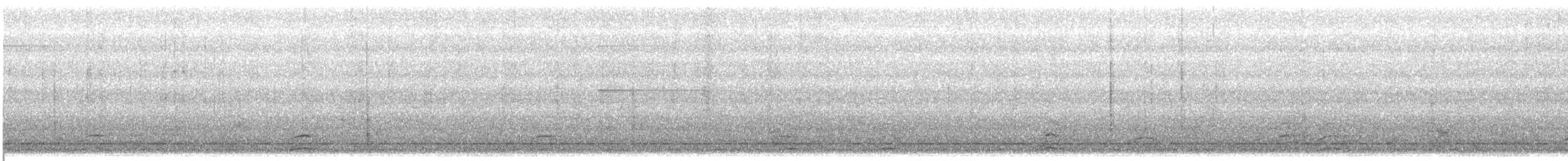 Snow Goose - ML646274836