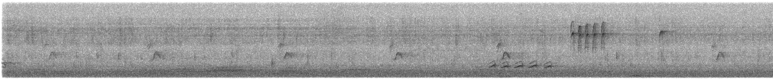 White-breasted Nuthatch - ML646275215