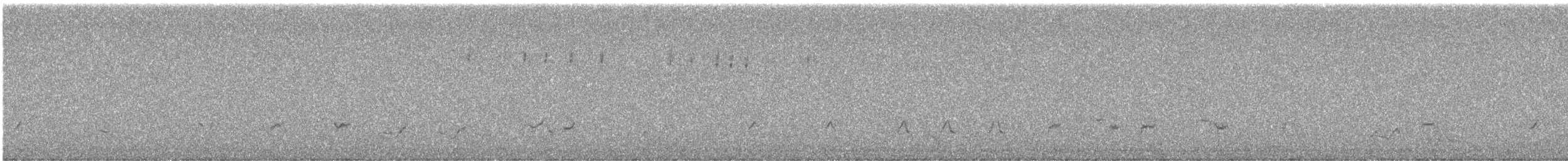 bird sp. - ML646275337