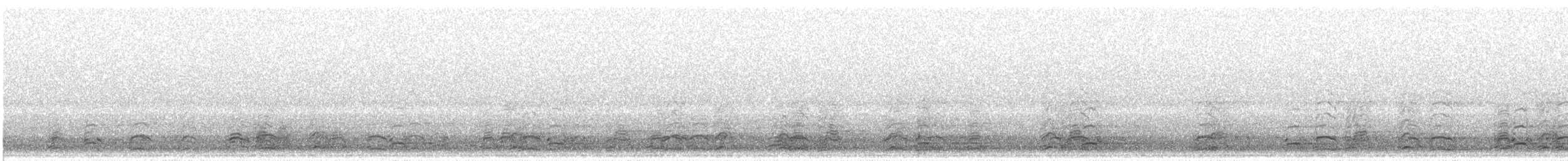 Snow Goose - ML646275606