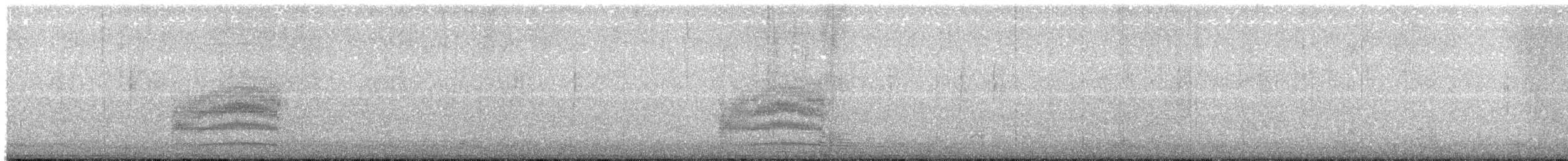 Tohi tacheté - ML646276048