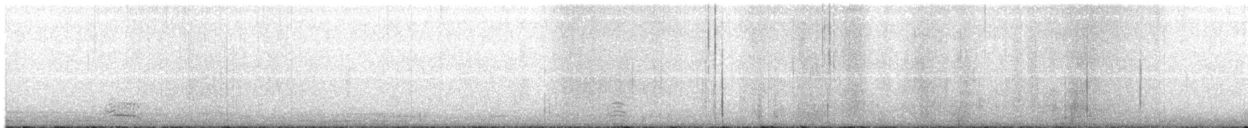 bird sp. - ML646276066