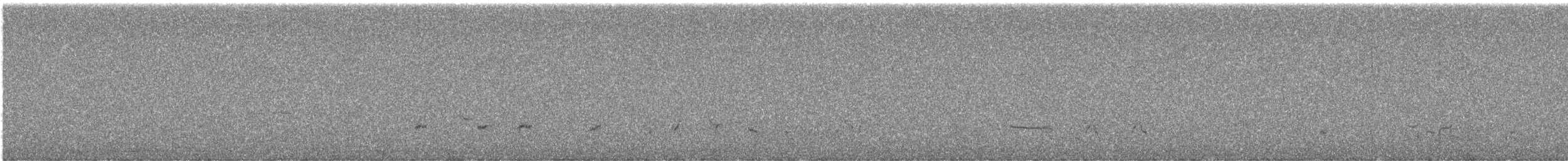 bird sp. - ML646276079