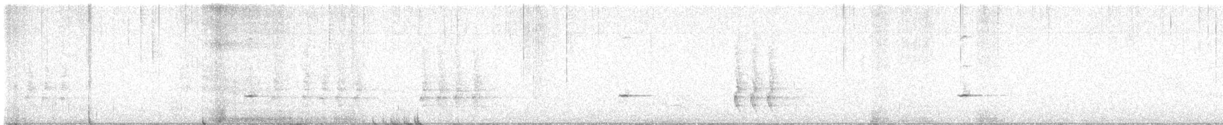 Townsend's Solitaire - ML646276327