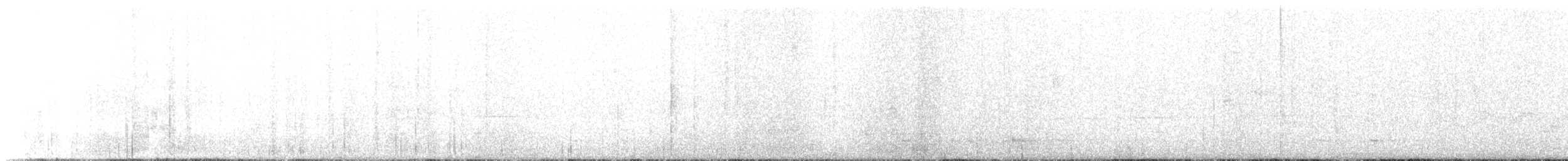 Large-tailed Antshrike - ML646276548