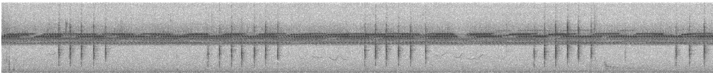 bird sp. - ML646276696